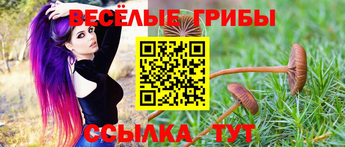Псилоцибиновые грибы Magic Shrooms Краснодар